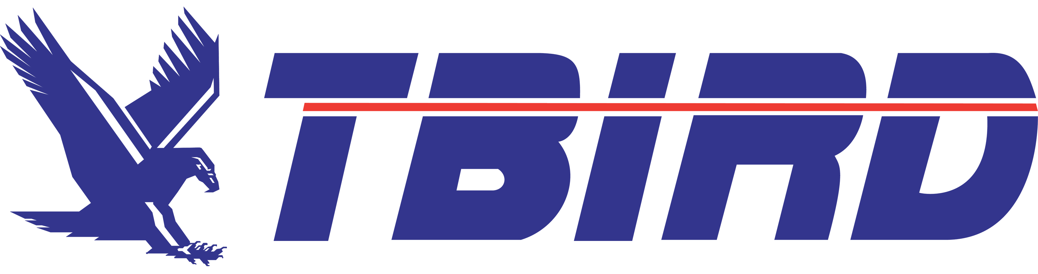 TBIRD Design Services